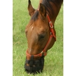 Best Friend Standard Grazing / Laminitis Muzzle